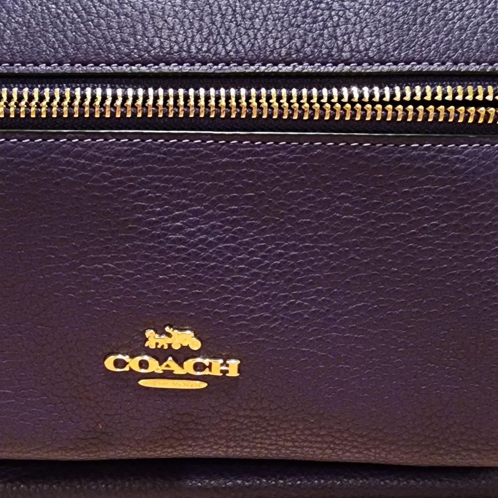 Coach backpack - Purple
